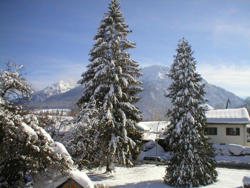 Gaestehaus Berger Inkl. Chiemgaukarte Ruhpolding Luaran gambar